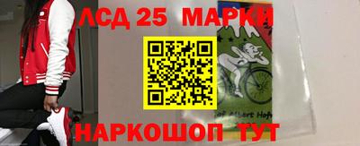 молекула духа Донецк