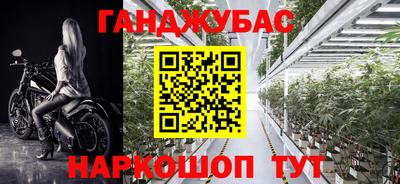 молекула духа Донецк