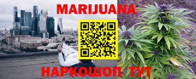 дмт Донской